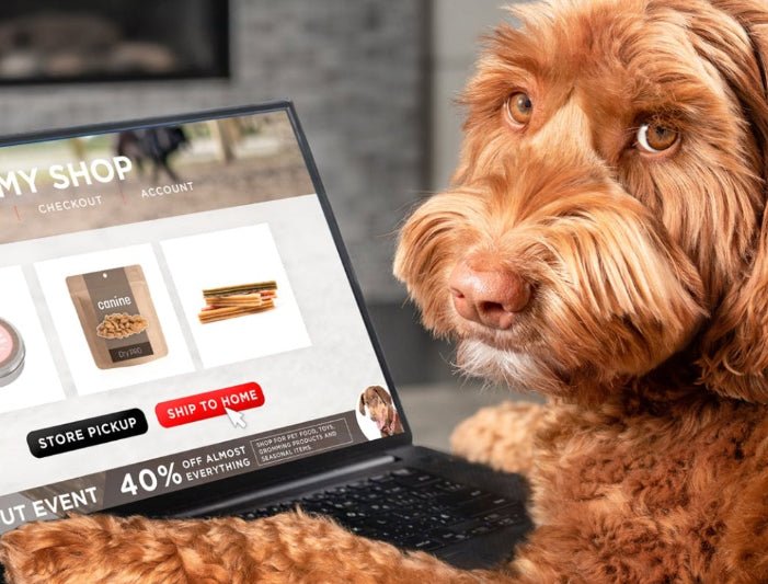 Home Page Banner Image